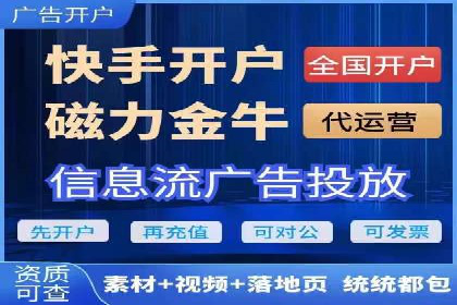 行业领先的SEM投放效果案例解析
