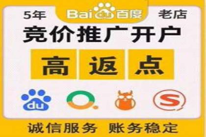 网络营销新篇章：竞价推广案例分析